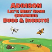 Addison Let's Meet Some Charming Bugs & Insects!