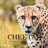 Cheetah Calendar 2021