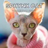 Sphynx Cats