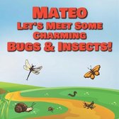 Mateo Let's Meet Some Charming Bugs & Insects!