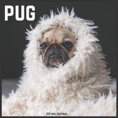 Pug 2021 Wall Calendar