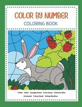 Color By Number Coloring Book