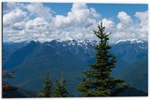 Dibond - Bergen met Bomen - 60x40cm Foto op Aluminium (Met Ophangsysteem)