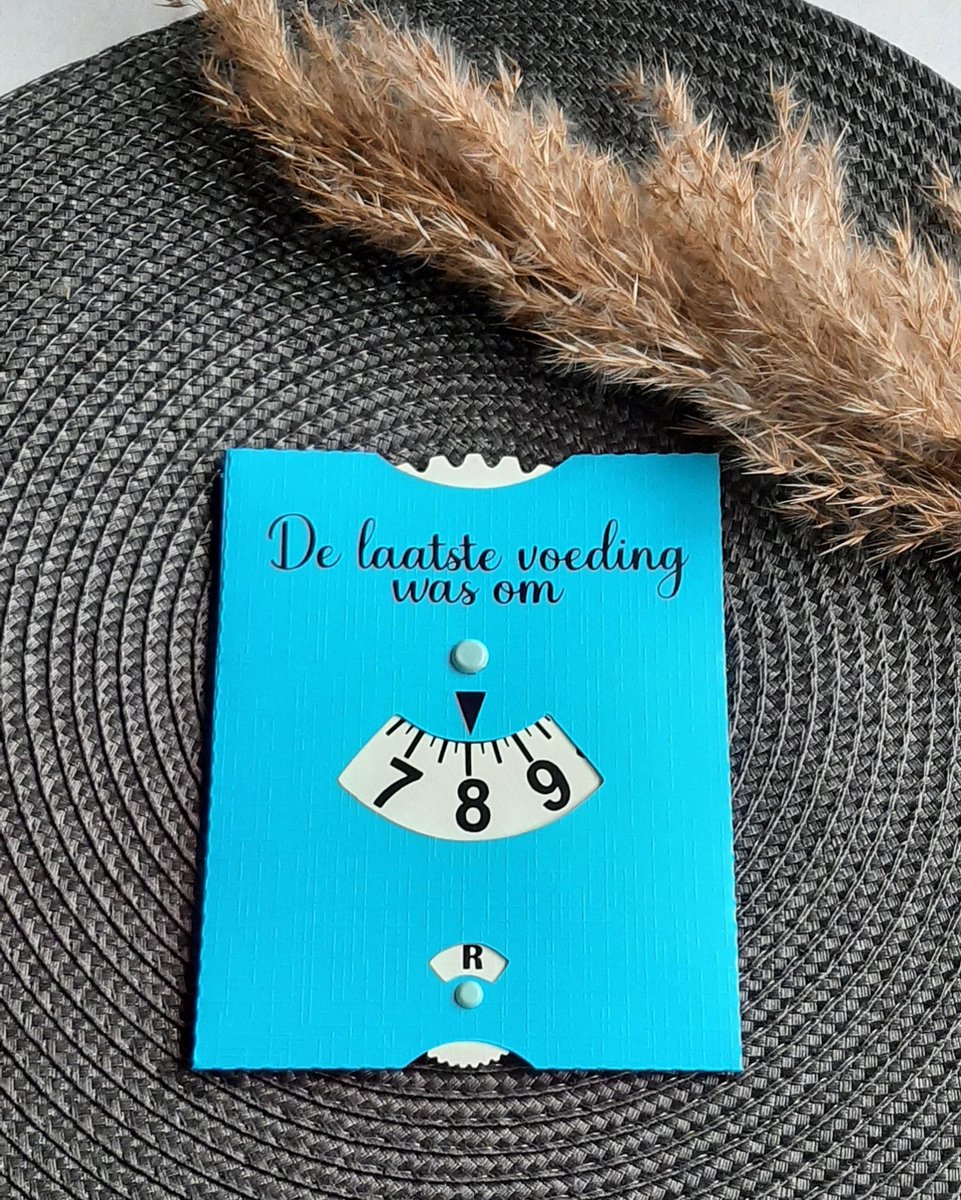 Goedkoopste Mint11 - Voedingskaart blauw - Babyvoeding accessoires - kraamcadeau - kraamkado - baby benodigdheden - voedingsschijf - parkeerschijf