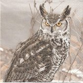 Daisy Servetten - Winter Owl