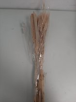 Gedroogde bloemen