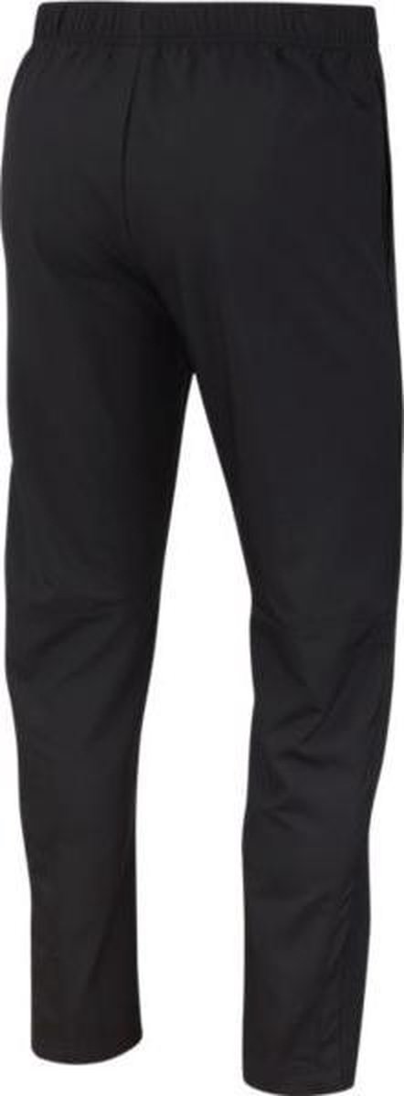 nike team dry pants