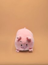 Knuffel varken - Cadeau - kussen - knuffel - zacht - schattig - 25 cm - kinderen - speelgoed - gift - plush - pillow - roze