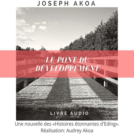 Le pont du développement - cover