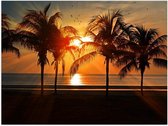 Poster – Palmbomen bij de Zee met Ondergaande Zon - 40x30cm Foto op Posterpapier