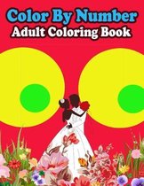 Color By Number Adult Coloring Book