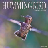 Humming Bird