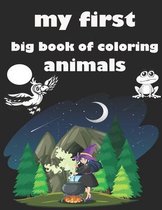 my first big book of coloring animals