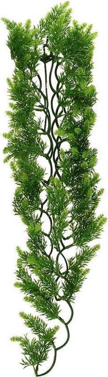 ZooMed - naturalistic flora - malasian fern  - medium - terrariumplant