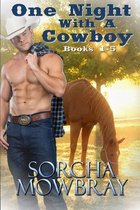 One Night With A Cowboy