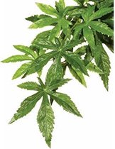 ZooMed - naturalistic flora - cannabis - small - terrariumplant