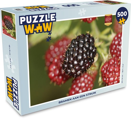 spanning doe niet In de meeste gevallen Puzzel 500 stukjes Braam - Bramen aan een struik - PuzzleWow heeft +100000  puzzels | bol.com