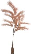 Droogbloemen Boeket -105cm - met Gedroogde Bloemen van Licht Roze Panicle Grass