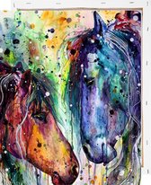 Schilderen op Nummer Paarden 40x50 met Frame Volwassenen & Kinderen - Kleuren op Nummer - Paint by Number - Hobbypainting.nl®