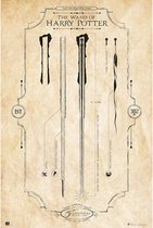 Poster Harry Potter The Wand 61x91,5cm