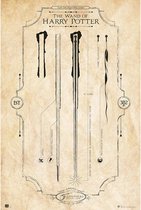 Grupo Erik Harry Potter The Wand  Poster - 61x91,5cm