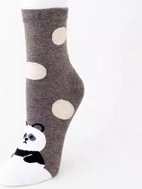 Gestippelde dierensokken - Cartoon Style - Pandabeer - Panda - Wit-Bruin - Unisex Sokken - Maat 36-41