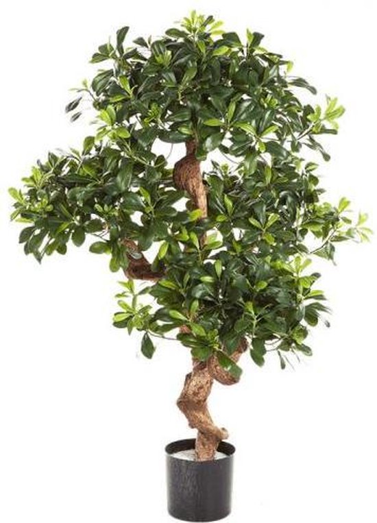 Grande plante artificielle haute arbre artificiel Pittosporum montagne -  Laurier 120... | bol.com