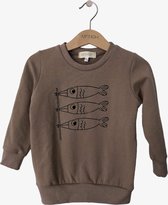 Sweater desert fishflag 62/68 Manoh kindersweater babysweater