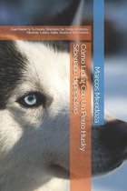 Como Lidiar Con Un Perro Husky Siberiano Hiperactivo
