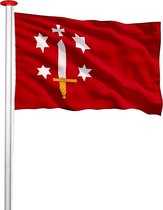 Vlag gemeente Haarlem 70x100 cm