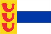 Vlag gemeente Weert 200x300 cm