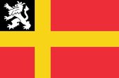 Vlag gemeente Utrechtse Heuvelrug 70x100 cm