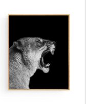 Poster Safari Leeuwin Brul - zwart / wit - 70x50cm - Safari Jungle Dieren - Muurdecoratie