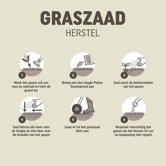 Zes illustraties tonen stappen voor gazononderhoud, inclusief hark en zaaien.