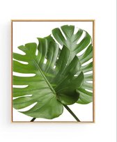 Poster 2 Botanische Tropische Bladeren Gekruist - 50x40cm - Planten - Muurdecoratie