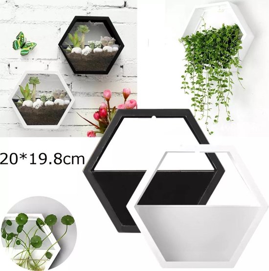 Muur hangpot | Wit | Hexagonaal (zes hoek) Hydroponics of pot | pot voor aan de muur | bol.com