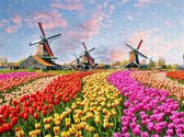 Traditionele Nederlandse Windmolens in de Tulpen - Legpuzzel 500 Stukjes | Zaandam - Tulpenveld - Nederland