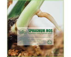 Sphagnum (spagnum 250 g) mos voor stekjes, terrariums en amfibieën