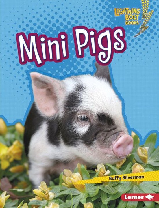 Lightning Bolt Books ® — Little Pets - Mini Pigs - cover