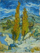 Vincent van Gogh, Twee populieren in de Alpilles bij Saint-Rémy, 1889 op canvas, afmetingen van dit schilderij zijn 60 X 100 CM