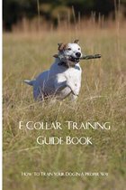 E Collar Training Guide Book- How To Train Your Dog In A Proper Way