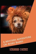 A Mystery Adventure Of Avery Barks - Strange Outfit