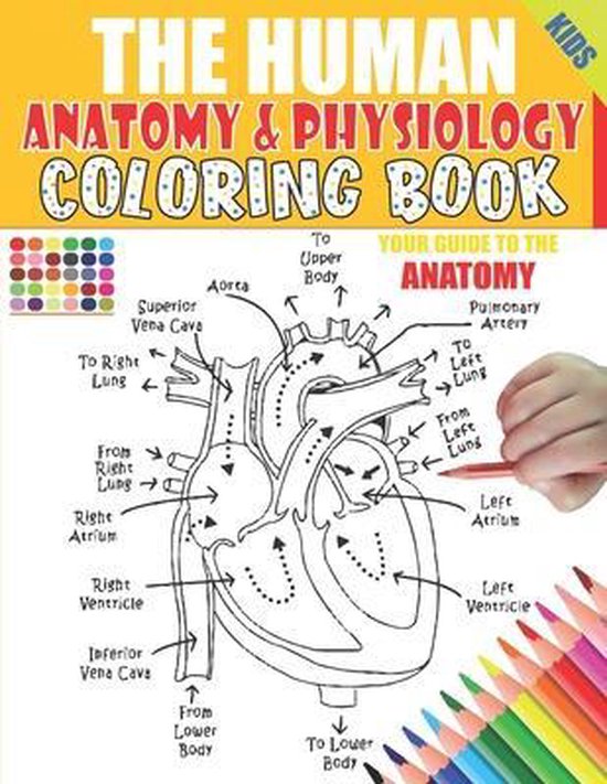 The Human Anatomy and Physiology Coloring Book - cover