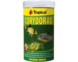 Tropical Corydoras (250ml) - Aquarium Visvoer