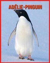 Adelie-Pinguin
