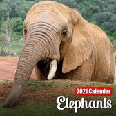 Calendar 2021 Elephants