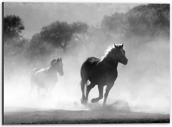 Dibond - Twee Rennende Paarden Zwart - Wit - 40x30cm Foto op Aluminium (Wanddecoratie van metaal)