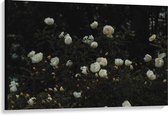 Canvas  - Witte Bloemenstruik - 120x80cm Foto op Canvas Schilderij (Wanddecoratie op Canvas)