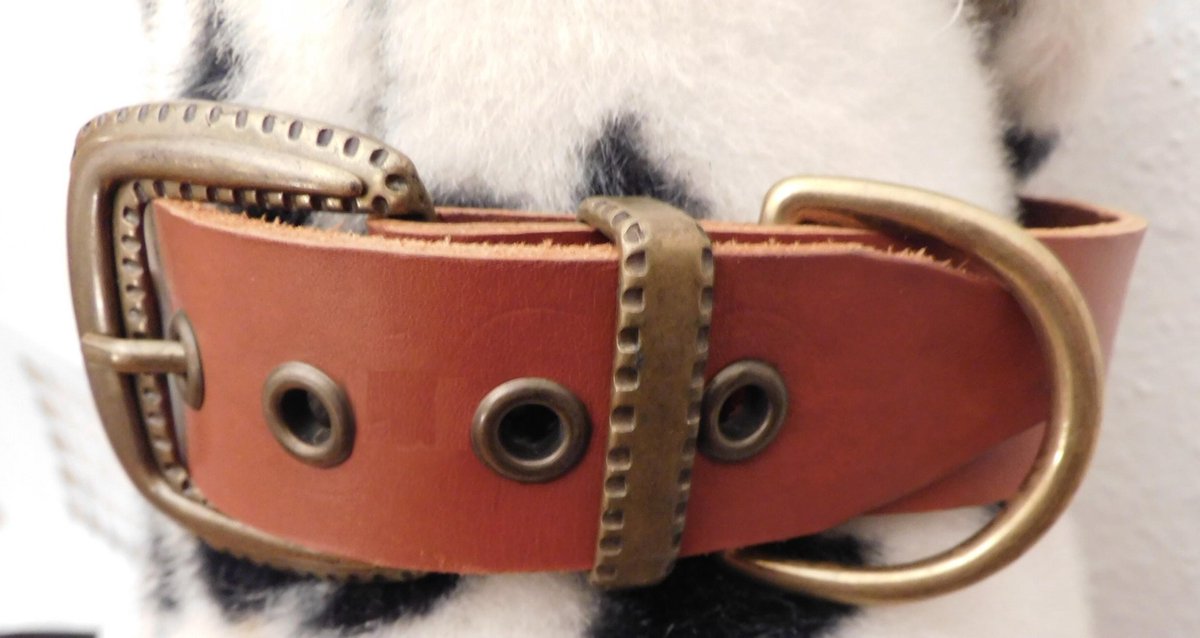 Robuuste halsband van naturel tuigleer