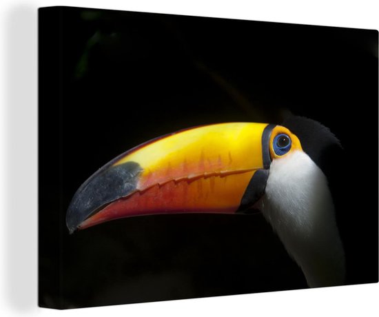 Gros plan d'un toucan au bec orange toile 2cm 90x60 cm - Tirage photo sur toile (Décoration murale salon / chambre)